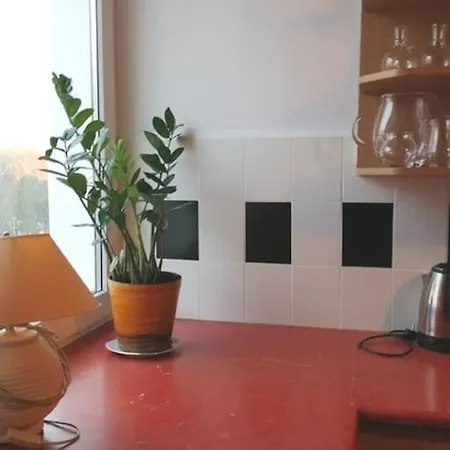 Klimatyczne Mieszkanie W Doskonalej Lokalizacji