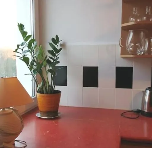 Klimatyczne Mieszkanie W Doskonalej Lokalizacji